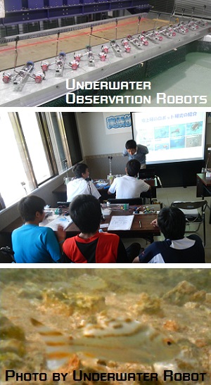 教育用水中観測ロボット